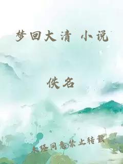 梦回大清 小说